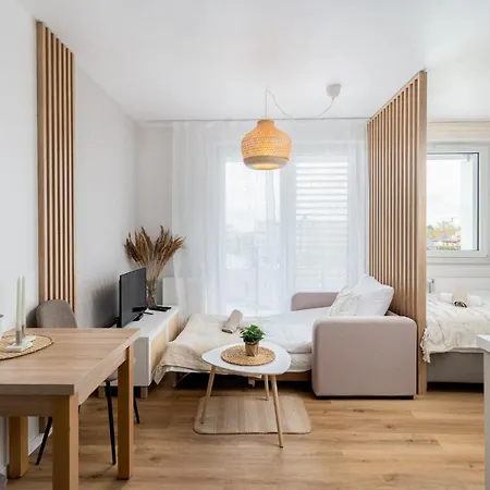 Zabiniec Boho Studio Apartment